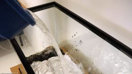 Add New Water To A Fish Tank Without Stirring Up Substrate